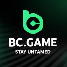 How to Download the BC.Game App A Comprehensive Guide