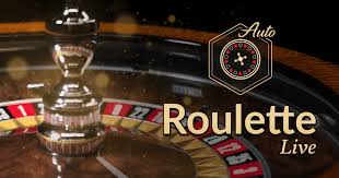 Evolution Red Door Roulette Exploring the Exciting Game Mechanics