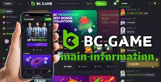 Explore the Exciting World of BC.Game Online Casino