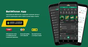 Guide to the BetWinner Login Process 483491863